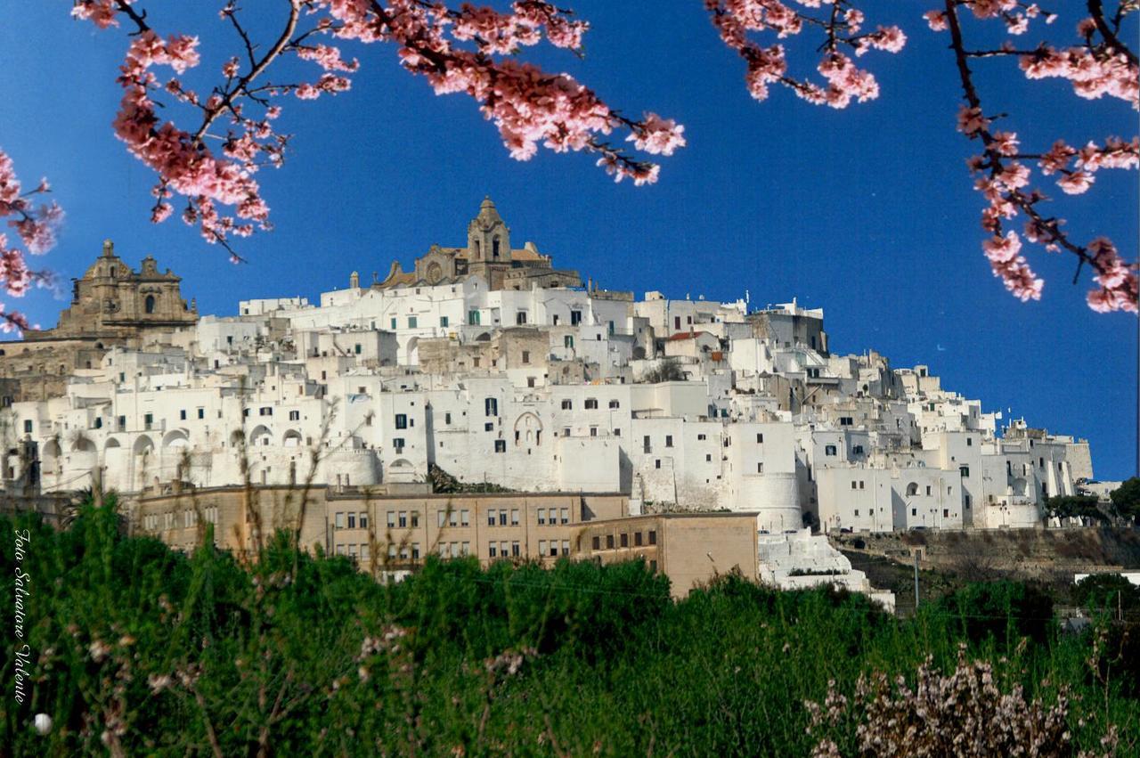 Casa Carlotta Villa Ostuni Bagian luar foto